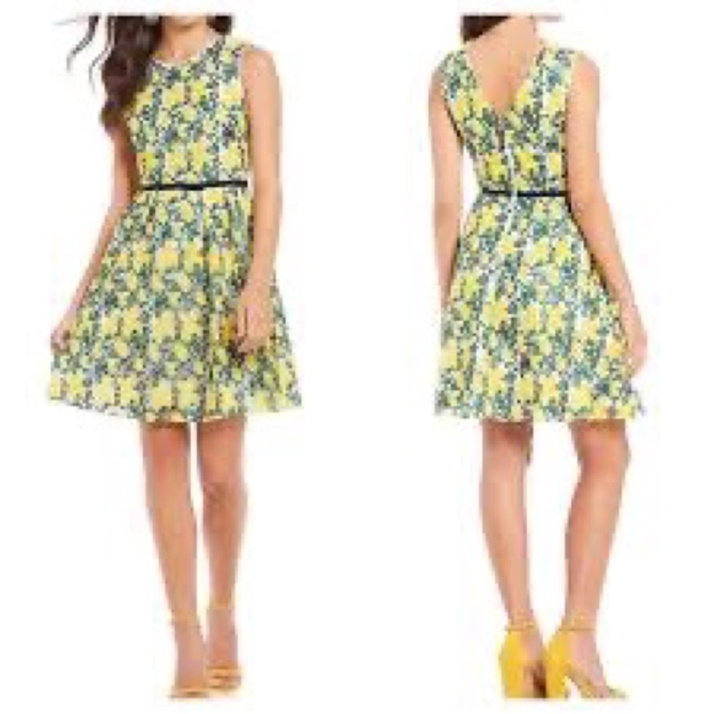 Draper James Goldenrod Embroidery Dress